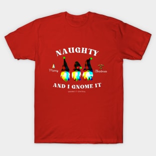 "naughty and I gnome it" christmas t-shirt T-Shirt